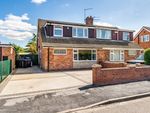Thumbnail for sale in Plumtree Lane, North Thoresby, Grimsby