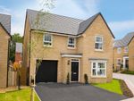 Thumbnail to rent in "Millford" at Waddington Road, Clitheroe