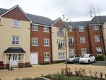 Thumbnail to rent in Draper Close, Augusta Park, Andover