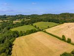 Thumbnail for sale in Cotleigh, Honiton, Devon