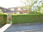 Thumbnail to rent in Sylvaways Close, Cranleigh