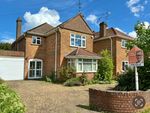 Thumbnail to rent in Maltese Road, Chelmsford, Essex