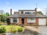 Thumbnail to rent in Plaistow Road, Ifold, Loxwood, West Sussex