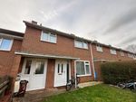 Thumbnail to rent in Lancelot Road, Exeter