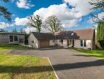 Thumbnail to rent in Bendarroch Road, West Hill, Ottery St. Mary