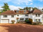 Thumbnail for sale in Worplesdon Hill, Woking
