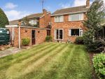 Thumbnail to rent in Birch Close, Broom