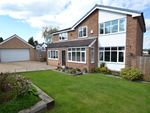 Thumbnail for sale in Paddock Close, Staincross, Barnsley