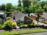 Thumbnail to rent in The Beeches Close, Sketty, Swansea