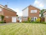 Thumbnail to rent in Boxgrove, Guildford, Surrey