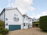 Thumbnail for sale in Beatrice Walk, Bexhill-On-Sea