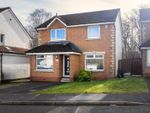 Thumbnail to rent in Clattowoods Drive, Dundee