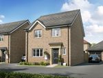Thumbnail to rent in "The Mylne" at Meadowsweet Way, Ely