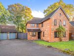 Thumbnail for sale in Hanoverian Way, Whiteley, Fareham