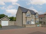 Thumbnail to rent in Pippin Road, Somerton