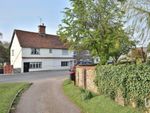 Thumbnail to rent in Great Easton, Dunmow