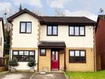 Thumbnail to rent in Blossom Close, Langstone