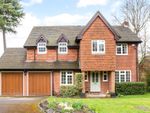Thumbnail to rent in Holmes Close, Sunninghill, Ascot, Berkshire