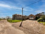 Thumbnail for sale in Alexandra Avenue, West Mersea, Colchester