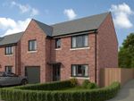 Thumbnail to rent in Seaton Meadows, Hartlepool