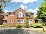 Thumbnail to rent in The Causeway, Petersfield, Hampshire