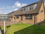 Thumbnail to rent in Old Mill Grove, East Whitburn