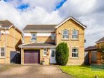 Thumbnail to rent in Trent Park, Kingswood, Hull