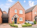 Thumbnail to rent in Sharp Close, Blandford Forum