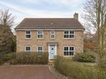 Thumbnail for sale in Avocet Grove, Soham, Ely