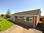 Thumbnail for sale in All Hallowes Drive, Tickhill, Doncaster
