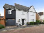 Thumbnail for sale in Fellowes Close, Colchester, Essex
