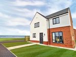 Thumbnail to rent in Forest Avenue, Hartlepool, (Plot 97)