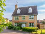 Thumbnail to rent in Ashdown Close, Braintree, Essex