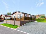 Thumbnail for sale in Cliffe Meadows Park, Turnham Lane, Cliffe, Selby