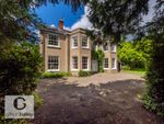 Thumbnail to rent in Yarmouth Road, Blofield