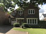 Thumbnail to rent in Sycamore Road, Cranleigh