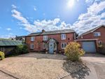 Thumbnail for sale in 1 Cherry Orchard, Kings Acre Road, Hereford