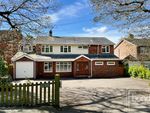 Thumbnail for sale in East Hanningfield Road, Howe Green, Chelmsford