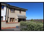 Thumbnail to rent in Rosewood Mews, Gravesend