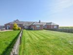Thumbnail to rent in West Mains Of Auchmithie, Arbroath, Angus