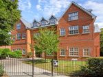 Thumbnail for sale in Goldring Way, St. Albans