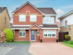 Thumbnail to rent in Inveraray Gardens, Newarthill, Motherwell