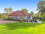 Thumbnail for sale in Hurlands Lane, Dunsfold, Godalming, Surrey