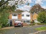 Thumbnail to rent in West Down, Great Bookham