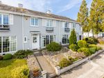 Thumbnail for sale in Ansteys Close, Torquay