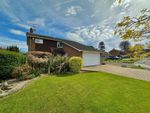 Thumbnail for sale in Knoll Place, Walmer, Deal, Kent