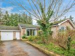 Thumbnail to rent in Cothill Road, Dry Sandford, Abingdon, Oxfordshire