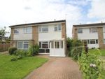 Thumbnail to rent in Guildford Road, Colchester