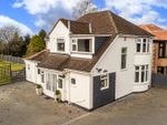 Thumbnail for sale in Uppingham Road, Houghton-On-The-Hill, Leicester