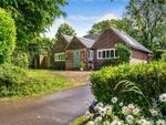 Thumbnail for sale in Forest Green, Dorking, Surrey